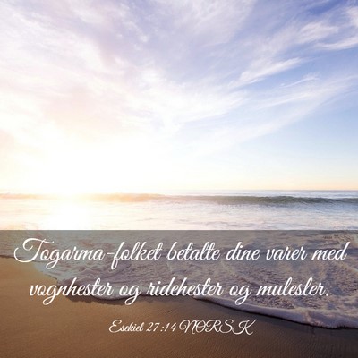 Picture 03 - Esekiel 27:14 NORSK - Togarma-folket betalte dine varer med vognhester - Bible Verse Picture