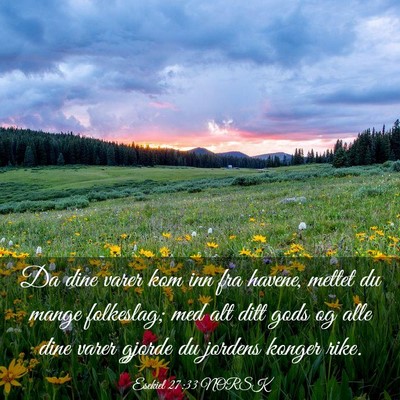 Picture 03 - Esekiel 27:33 NORSK - Da dine varer kom inn fra havene, mettet du mange - Bible Verse Picture