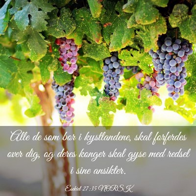 Picture 03 - Esekiel 27:35 NORSK - Alle de som bor i kystlandene, skal forferdes - Bible Verse Picture