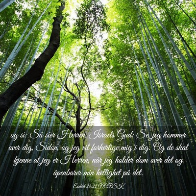 Picture 03 - Esekiel 28:22 NORSK - og si: Så sier Herren, Israels Gud: Se, jeg - Bible Verse Picture