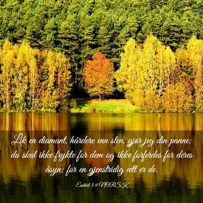 Picture 03 - Esekiel 3:9 NORSK - Lik en diamant, hårdere enn sten, gjør jeg din - Bible Verse Picture