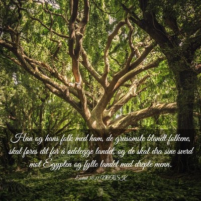 Picture 03 - Esekiel 30:11 NORSK - Han og hans folk med ham, de grusomste blandt - Bible Verse Picture