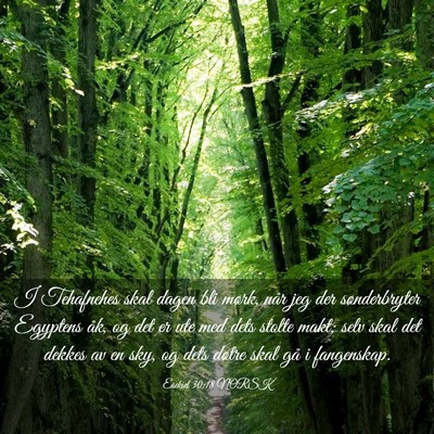 Picture 03 - Esekiel 30:18 NORSK - I Tehafnehes skal dagen bli mørk, når jeg der - Bible Verse Picture