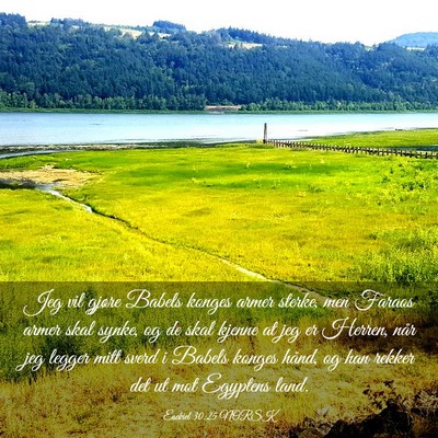 Picture 03 - Esekiel 30:25 NORSK - Jeg vil gjøre Babels konges armer sterke, men - Bible Verse Picture