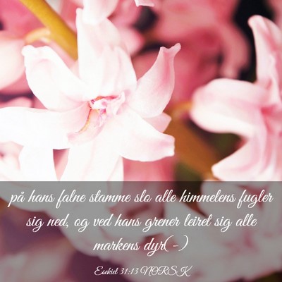 Picture 03 - Esekiel 31:13 NORSK - på hans falne stamme slo alle himmelens fugler - Bible Verse Picture
