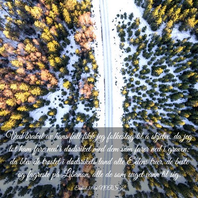 Picture 03 - Esekiel 31:16 NORSK - Ved braket av hans fall fikk jeg folkeslag til å - Bible Verse Picture