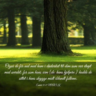 Picture 03 - Esekiel 31:17 NORSK - Også de fór ned med ham i dødsriket til dem - Bible Verse Picture