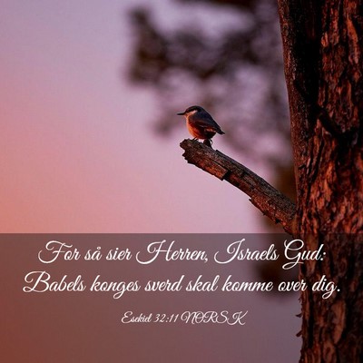 Picture 03 - Esekiel 32:11 NORSK - For så sier Herren, Israels Gud: Babels konges - Bible Verse Picture