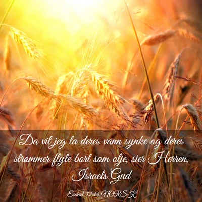 Picture 03 - Esekiel 32:14 NORSK - Da vil jeg la deres vann synke og deres strømmer - Bible Verse Picture