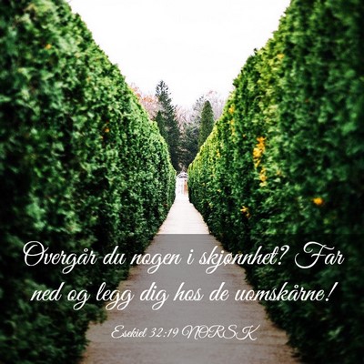 Picture 03 - Esekiel 32:19 NORSK - Overgår du nogen i skjønnhet? Far ned og legg - Bible Verse Picture