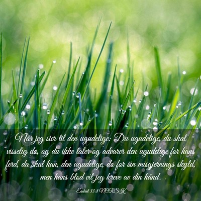 Picture 03 - Esekiel 33:8 NORSK - Når jeg sier til den ugudelige: Du ugudelige, du - Bible Verse Picture