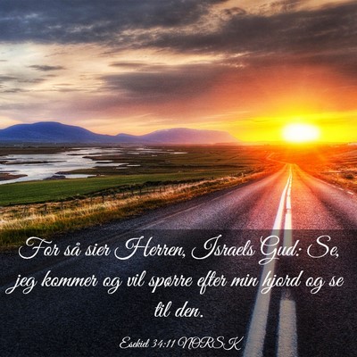 Picture 03 - Esekiel 34:11 NORSK - For så sier Herren, Israels Gud: Se, jeg kommer - Bible Verse Picture