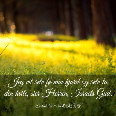 Picture 03 - Esekiel 34:15 NORSK - Jeg vil selv fø min hjord og selv la den hvile, - Bible Verse Picture