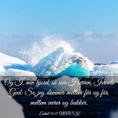 Picture 03 - Esekiel 34:17 NORSK - Og I, min hjord, så sier Herren, Israels Gud: - Bible Verse Picture