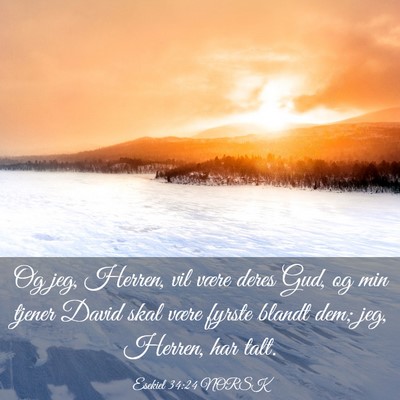 Picture 03 - Esekiel 34:24 NORSK - Og jeg, Herren, vil være deres Gud, og min - Bible Verse Picture