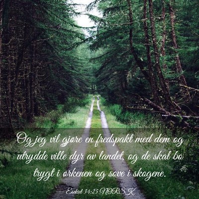 Picture 03 - Esekiel 34:25 NORSK - Og jeg vil gjøre en fredspakt med dem og utrydde - Bible Verse Picture