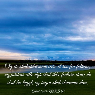 Picture 03 - Esekiel 34:28 NORSK - Og de skal ikke mere være et rov for folkene, og - Bible Verse Picture