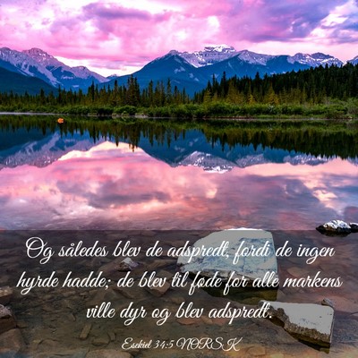Picture 03 - Esekiel 34:5 NORSK - Og således blev de adspredt, fordi de ingen - Bible Verse Picture