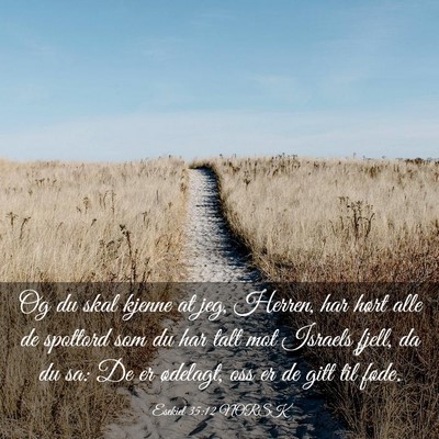 Picture 03 - Esekiel 35:12 NORSK - Og du skal kjenne at jeg, Herren, har hørt alle - Bible Verse Picture