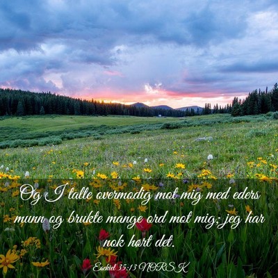 Picture 03 - Esekiel 35:13 NORSK - Og I talte overmodig mot mig med eders munn og - Bible Verse Picture