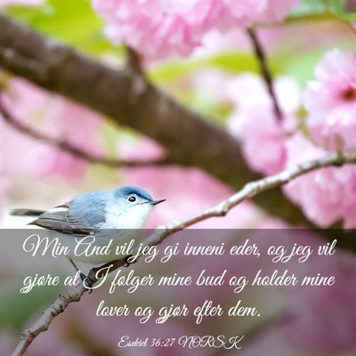 Picture 03 - Esekiel 36:27 NORSK - Min Ånd vil jeg gi inneni eder, og jeg vil - Bible Verse Picture