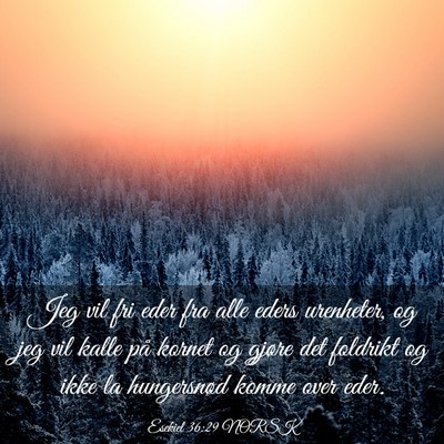 Picture 03 - Esekiel 36:29 NORSK - Jeg vil fri eder fra alle eders urenheter, og jeg - Bible Verse Picture