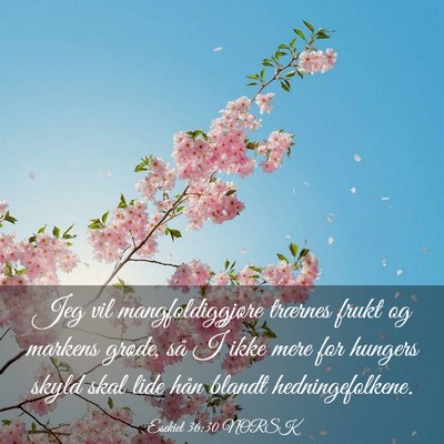 Picture 03 - Esekiel 36:30 NORSK - Jeg vil mangfoldiggjøre trærnes frukt og - Bible Verse Picture