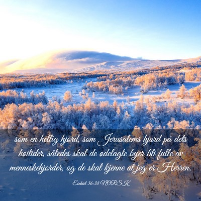 Picture 03 - Esekiel 36:38 NORSK - som en hellig hjord, som Jerusalems hjord på - Bible Verse Picture