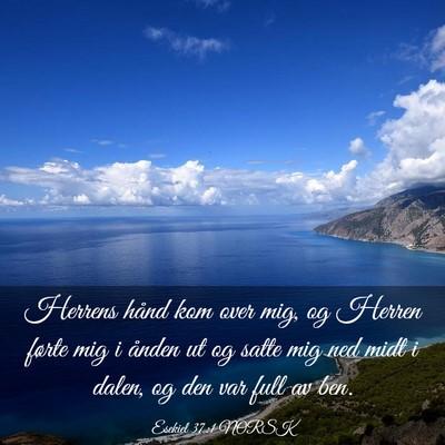 Picture 03 - Esekiel 37:1 NORSK - Herrens hånd kom over mig, og Herren førte mig - Bible Verse Picture