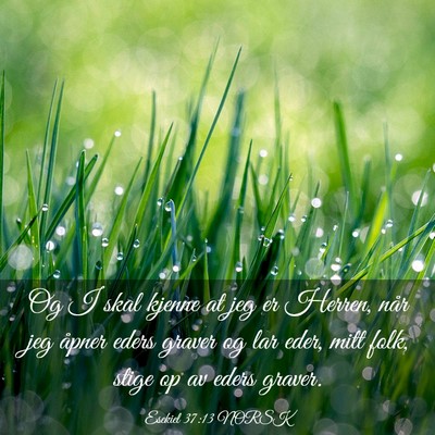 Picture 03 - Esekiel 37:13 NORSK - Og I skal kjenne at jeg er Herren, når jeg - Bible Verse Picture