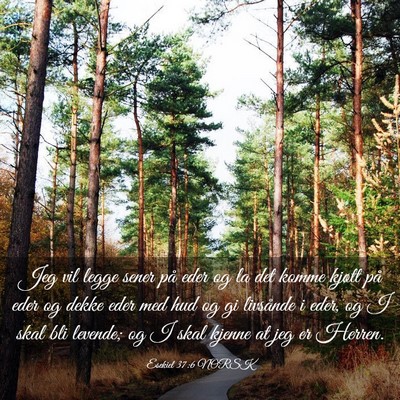 Picture 03 - Esekiel 37:6 NORSK - Jeg vil legge sener på eder og la det komme - Bible Verse Picture