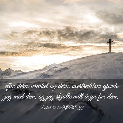 Picture 03 - Esekiel 39:24 NORSK - efter deres urenhet og deres overtredelser gjorde - Bible Verse Picture