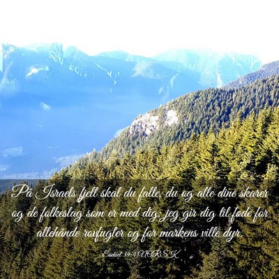 Picture 03 - Esekiel 39:4 NORSK - På Israels fjell skal du falle, du og alle dine - Bible Verse Picture