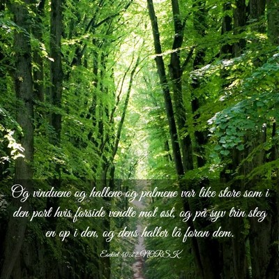 Picture 03 - Esekiel 40:22 NORSK - Og vinduene og hallene og palmene var like store - Bible Verse Picture
