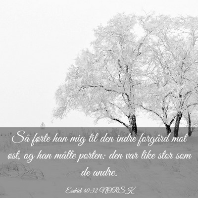 Picture 03 - Esekiel 40:32 NORSK - Så førte han mig til den indre forgård mot - Bible Verse Picture