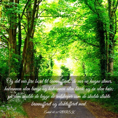 Picture 03 - Esekiel 40:42 NORSK - Og det var fire bord til brennofferet; de var av - Bible Verse Picture