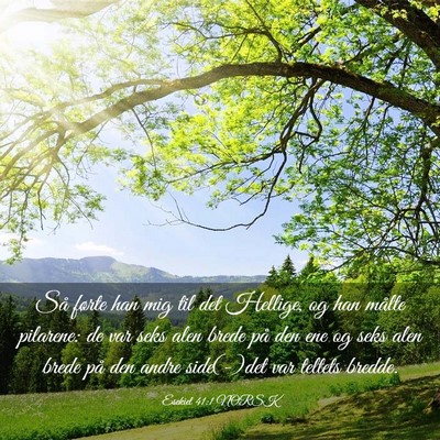 Picture 03 - Esekiel 41:1 NORSK - Så førte han mig til det Hellige, og han målte - Bible Verse Picture