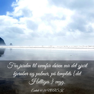 Picture 03 - Esekiel 41:20 NORSK - Fra jorden til ovenfor døren var det gjort - Bible Verse Picture