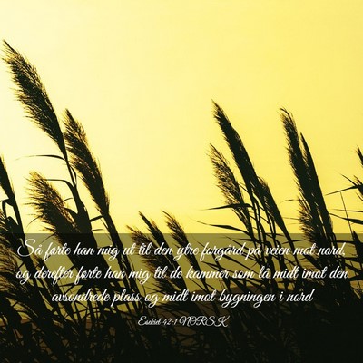 Picture 03 - Esekiel 42:1 NORSK - Så førte han mig ut til den ytre forgård på - Bible Verse Picture