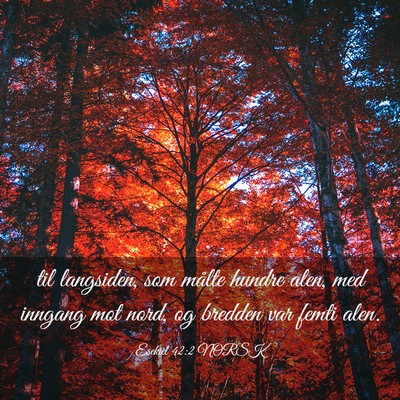 Picture 03 - Esekiel 42:2 NORSK - til langsiden, som målte hundre alen, med - Bible Verse Picture