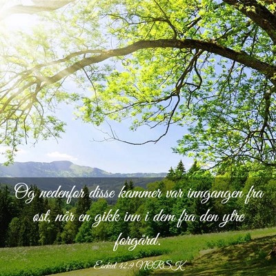 Picture 03 - Esekiel 42:9 NORSK - Og nedenfor disse kammer var inngangen fra øst, - Bible Verse Picture