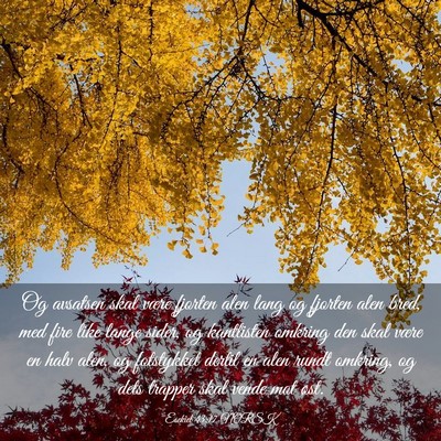 Picture 03 - Esekiel 43:17 NORSK - Og avsatsen skal være fjorten alen lang og - Bible Verse Picture