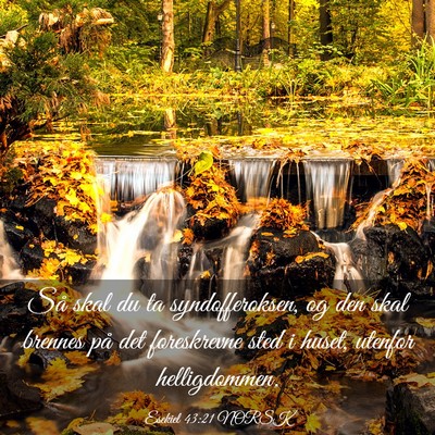 Picture 03 - Esekiel 43:21 NORSK - Så skal du ta syndofferoksen, og den skal - Bible Verse Picture