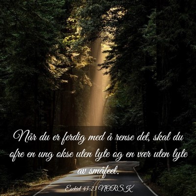Picture 03 - Esekiel 43:23 NORSK - Når du er ferdig med å rense det, skal du ofre - Bible Verse Picture