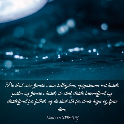 Picture 03 - Esekiel 44:11 NORSK - De skal være tjenere i min helligdom, opsynsmenn - Bible Verse Picture