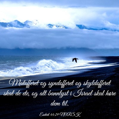 Picture 03 - Esekiel 44:29 NORSK - Matofferet og syndofferet og skyldofferet skal de - Bible Verse Picture