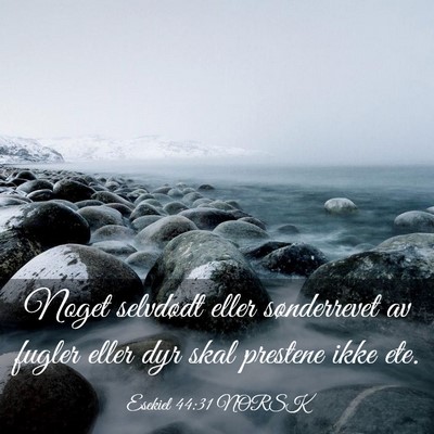 Picture 03 - Esekiel 44:31 NORSK - Noget selvdødt eller sønderrevet av fugler - Bible Verse Picture