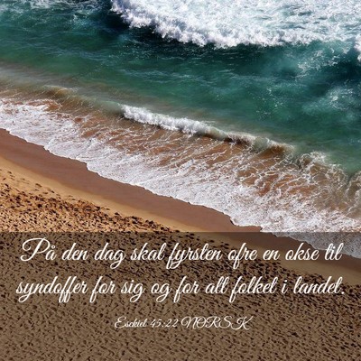 Picture 03 - Esekiel 45:22 NORSK - På den dag skal fyrsten ofre en okse til - Bible Verse Picture