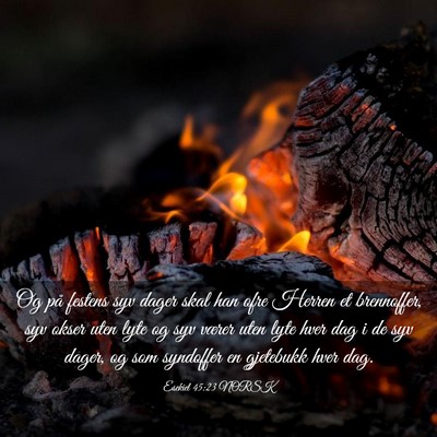 Picture 03 - Esekiel 45:23 NORSK - Og på festens syv dager skal han ofre Herren et - Bible Verse Picture