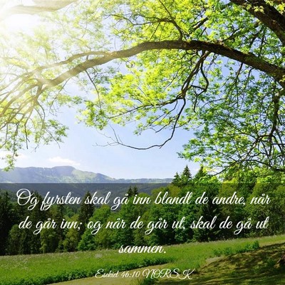Picture 03 - Esekiel 46:10 NORSK - Og fyrsten skal gå inn blandt de andre, når de - Bible Verse Picture